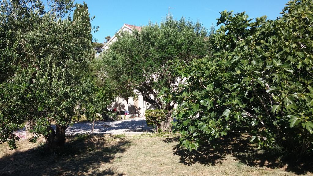 Apartments & Rooms Brna Banjol Dış mekan fotoğraf